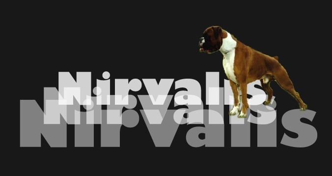Nirvalis 7
